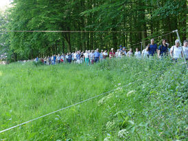 Festgottesdienst zum 1.000 Todestag des Heiligen Heimerads auf dem Hasunger Berg (Foto: Karl-Franz Thiede)